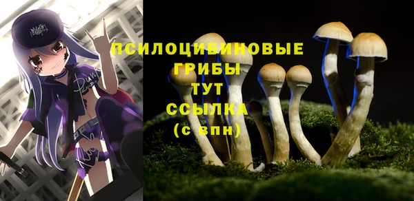 марки nbome Абаза