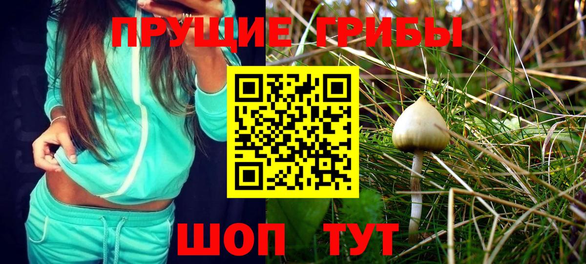 Азов  Псилоцибиновые грибы GOLDEN TEACHER  Вход с VPN 