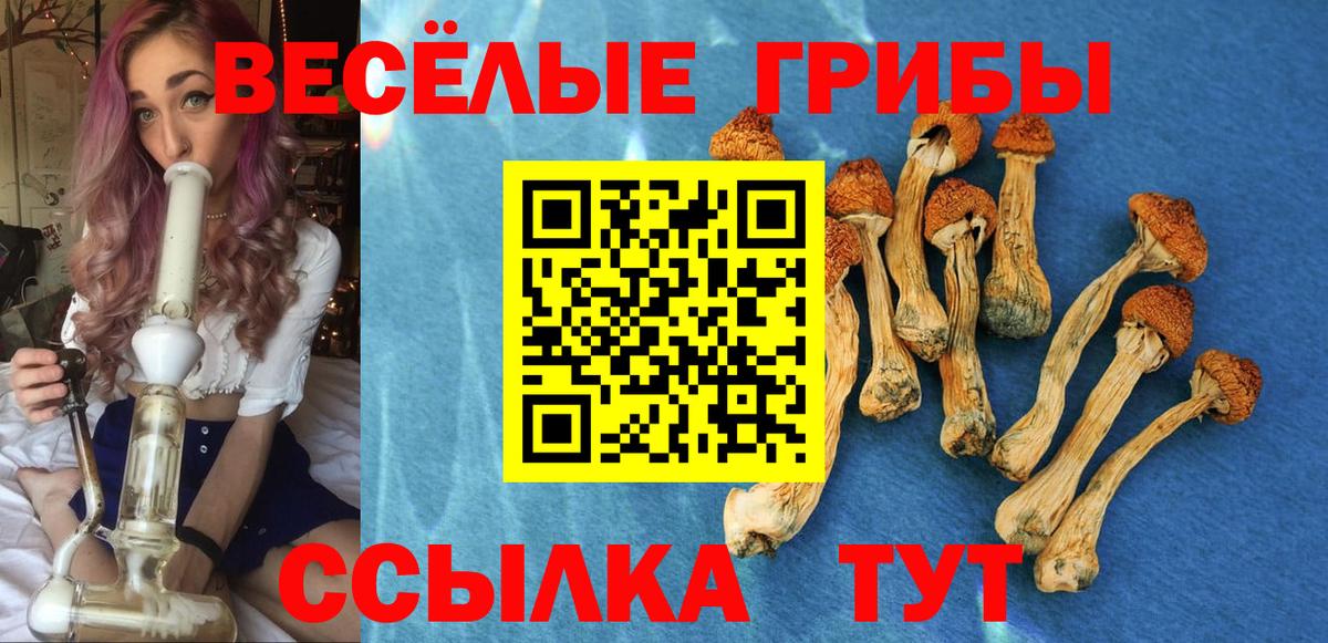 Галлюциногенные грибы мухоморы Азов